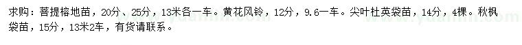 求購菩提榕、黃花風(fēng)鈴、尖葉杜英等