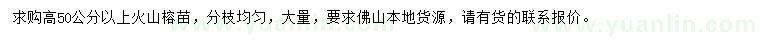 求購高50公分以上火山榕苗