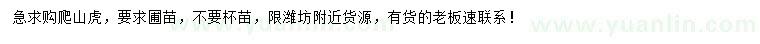 求購爬山虎