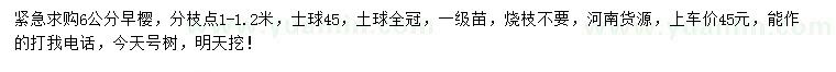 求購6公分早櫻