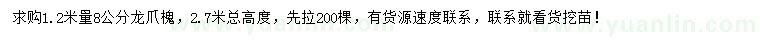 求購1.2米量8公分龍爪槐