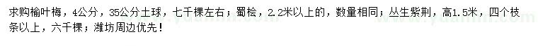 求購榆葉梅、蜀檜、叢生紫荊