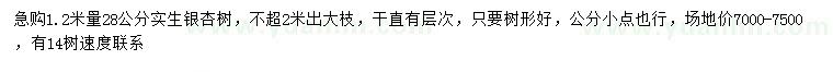 求購1.2米量28公分實生銀杏