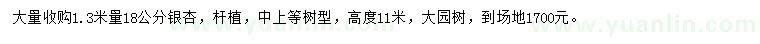 求購1.3米量18公分銀杏