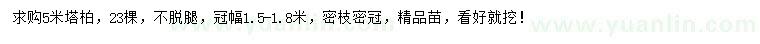 求購5米塔柏
