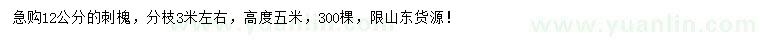 求購12公分刺槐