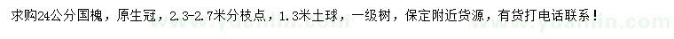 求購24公分國槐