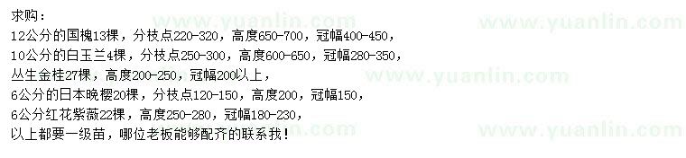 求購國槐、白玉蘭、叢生金桂等