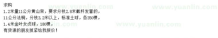 求購黃山欒、法桐、金葉女貞球