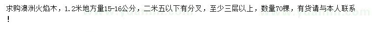求購1.2米量15-16公分澳洲火焰木