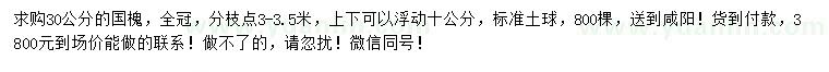 求購30公分國槐