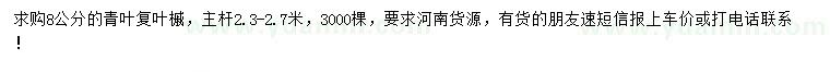 求購8公分青葉復(fù)葉槭