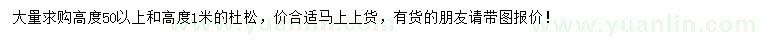 求購高50公分以上、100公分杜松