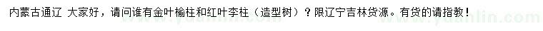 求購金葉榆柱、紅葉李柱