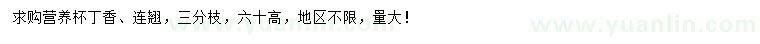 求購高60公分丁香、連翹