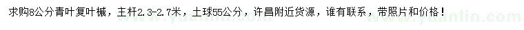 求購8公分青葉復(fù)葉槭