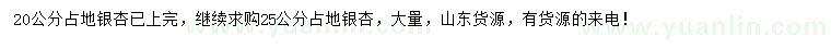 求購25公分占地銀杏