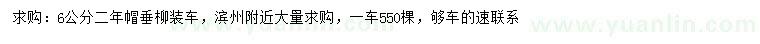 求購6公分垂柳