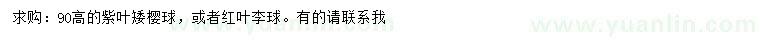 求購高90公分紫葉矮櫻球、紅葉李球