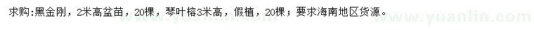 求購(gòu)高2米黑金剛、3米琴葉榕