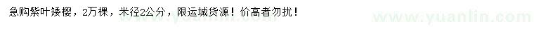 求購米徑2公分紫葉矮櫻