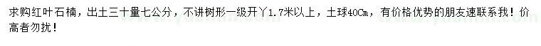 求購30量7公分紅葉石楠