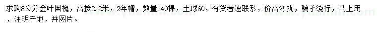 求購(gòu)8公分金葉國(guó)槐