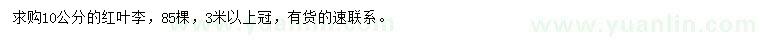 求購10公分紅葉李