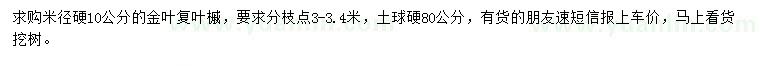 求購米徑硬10公分金葉復(fù)葉槭