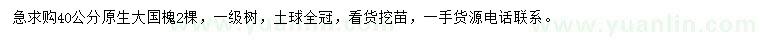 求購40公分大國槐