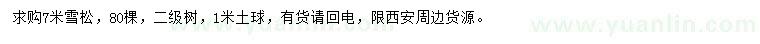 求購7米雪松