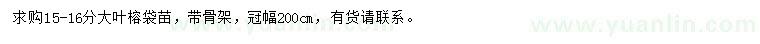 求購15-16公分大葉榕