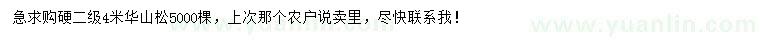 求購4米華山松