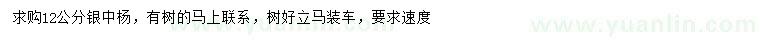 求購12公分銀中楊