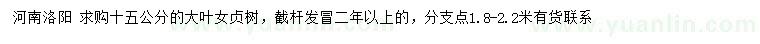 求購(gòu)15公分大葉女貞