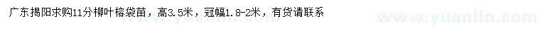 求購11公分柳葉榕