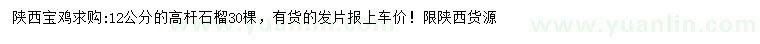 求購12公分高桿石榴
