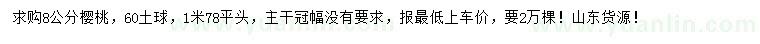求購8公分櫻桃