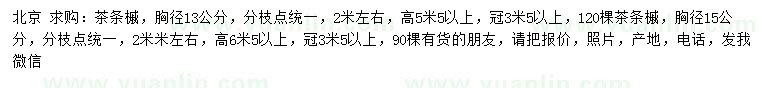 求購(gòu)胸徑13、15公分茶條槭