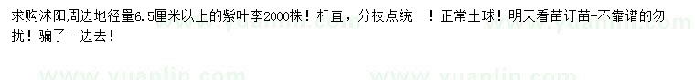 求購地徑量6.5公分紫葉李