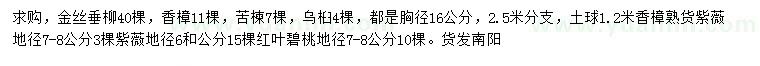 求購(gòu)金絲垂柳、香樟、苦楝等