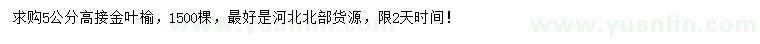 求購5公分高接金葉榆