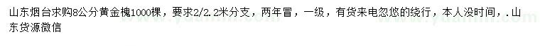 求購8公分黃金槐