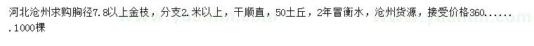 求購胸徑7.8公分以上金枝槐