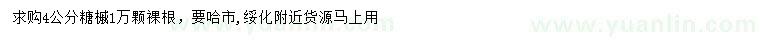 求購4公分糖槭