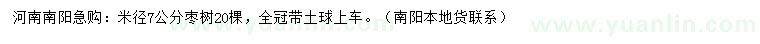 求購米徑7公分棗樹