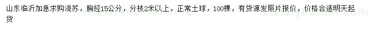 求購胸徑15公分流蘇