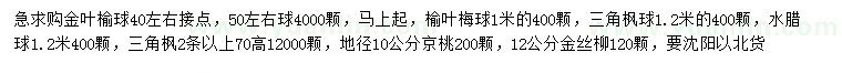 求購(gòu)金葉榆球、榆葉梅球、三角楓球等