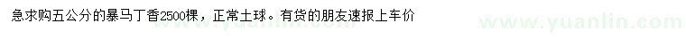 求購5公分暴馬丁香