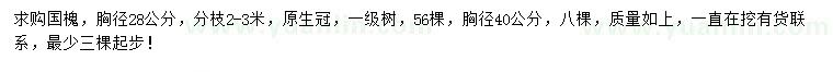 求購胸徑28、40公分國槐